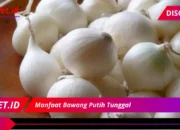 Manfaat Bawang Putih Tunggal