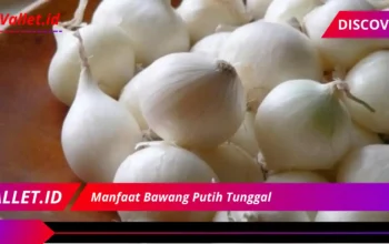 Manfaat Bawang Putih Tunggal