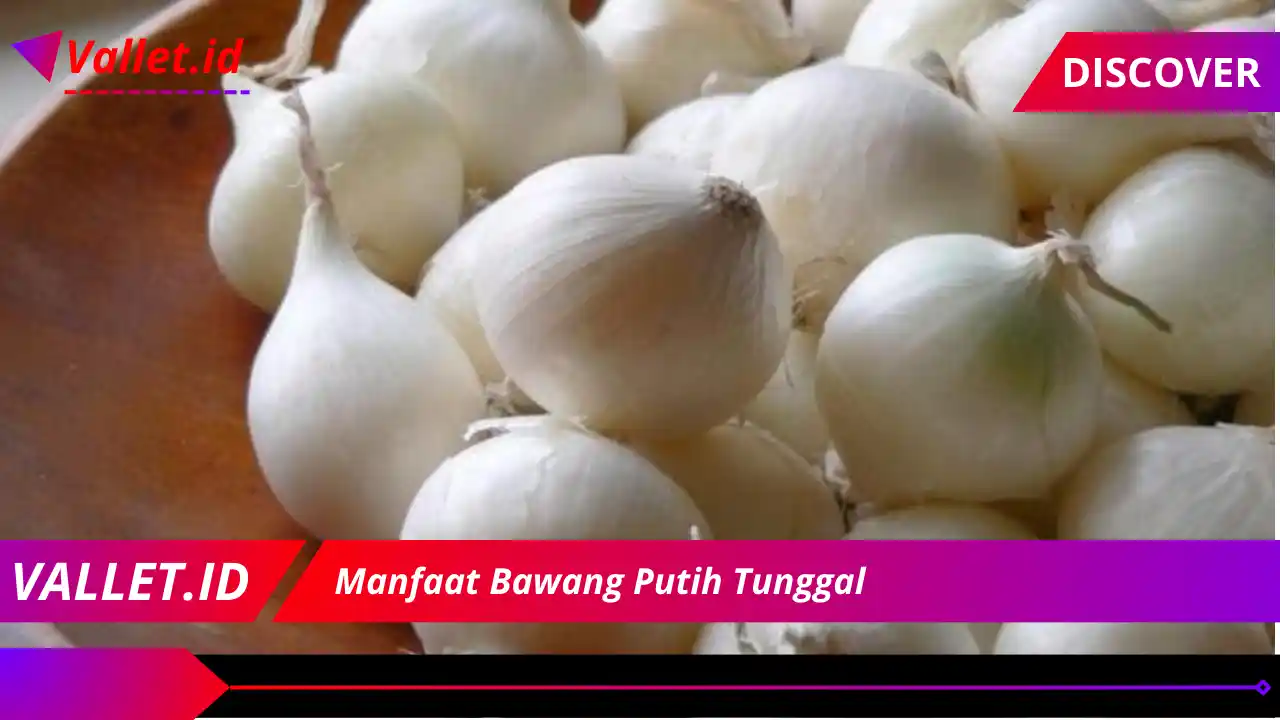 Manfaat Bawang Putih Tunggal