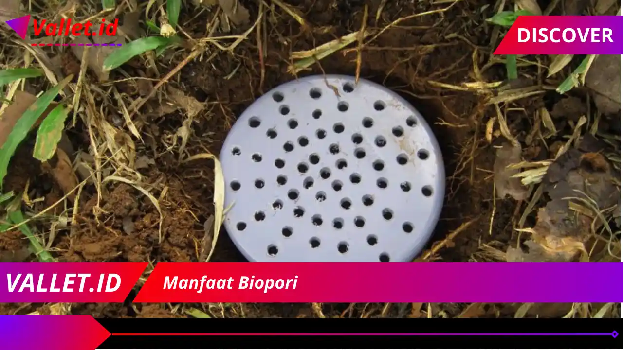 Manfaat Biopori