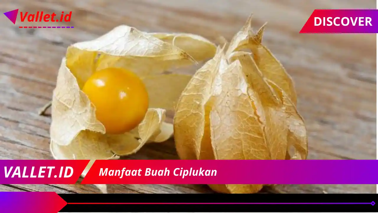 Manfaat Buah Ciplukan