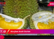 Manfaat Buah Durian