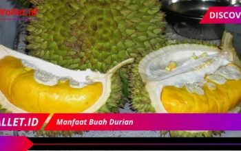 7 Khasiat Buah Durian yang Tak Terduga!