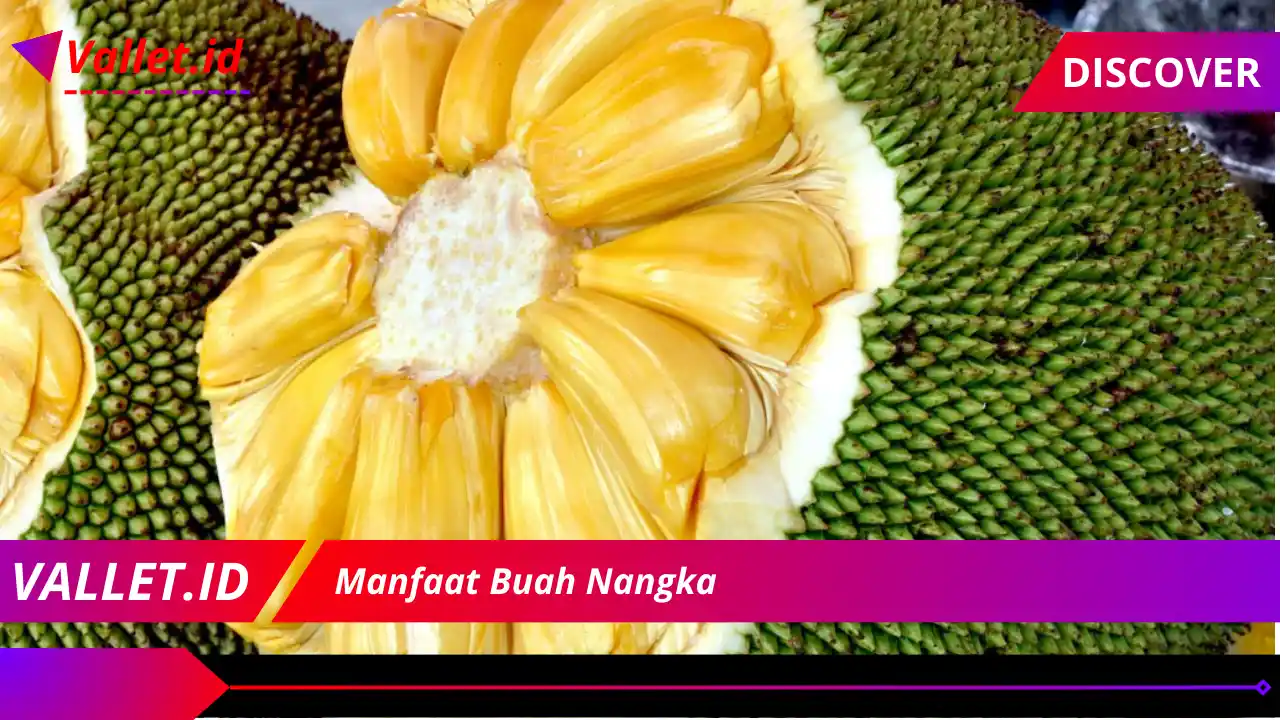 Manfaat Buah Nangka