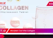 Wajib Coba! 7 Manfaat Cool Vita Collagen yang Bikin Wajah Glowing