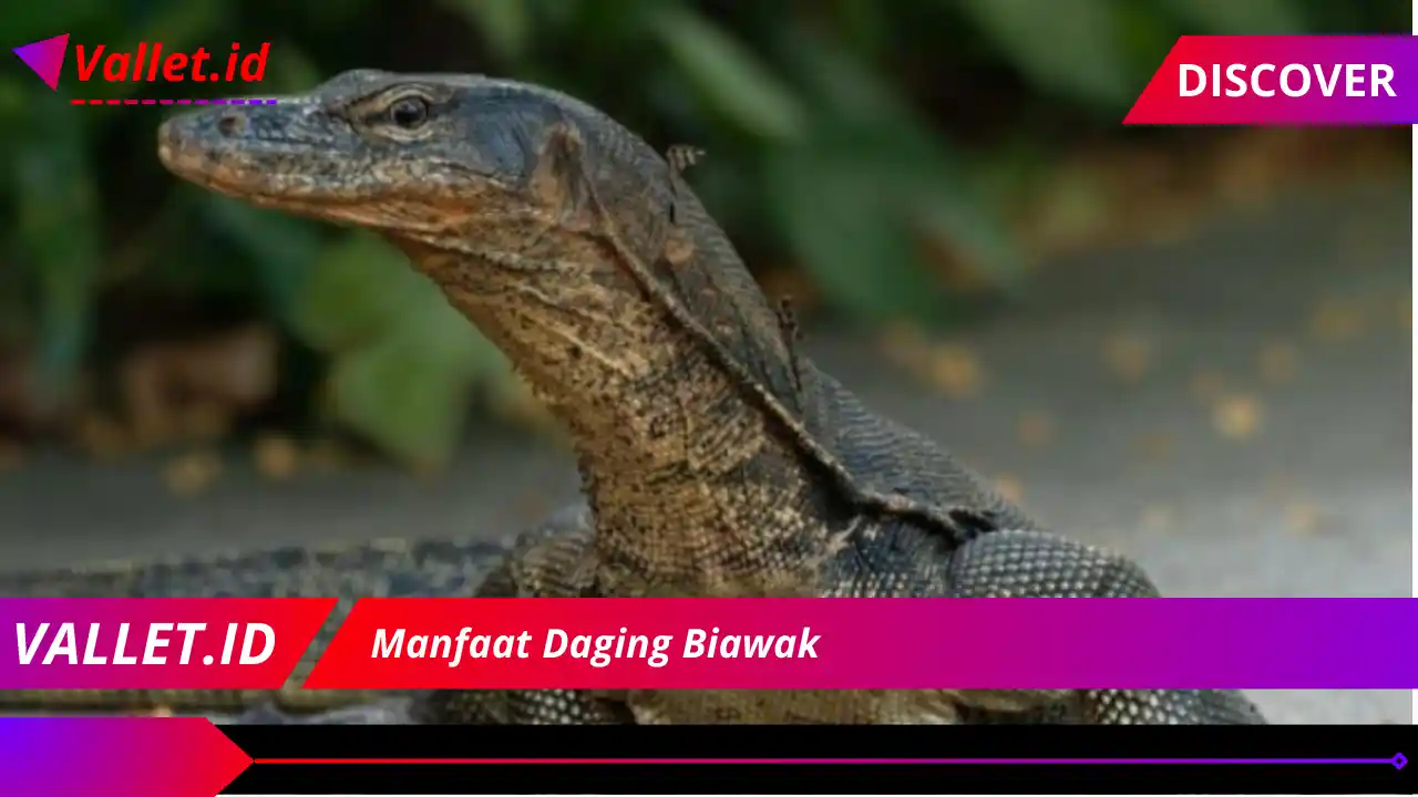 Manfaat Daging Biawak