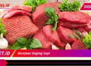 7 Khasiat Daging Sapi yang Wajib Anda Ketahui