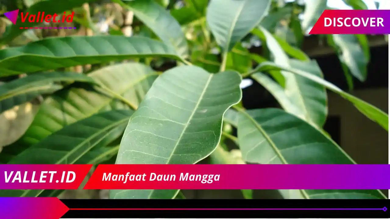 Manfaat Daun Mangga