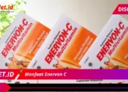 7 Manfaat Super Dahsyat Enervon C Wajib Diketahui!