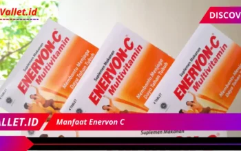 Manfaat Enervon C