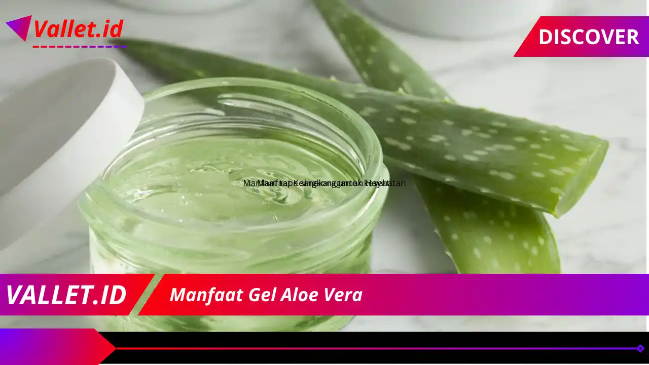 Manfaat Gel Aloe Vera