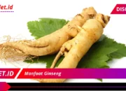 Rahasia di Balik 7 Manfaat Ginseng yang Mengagumkan!