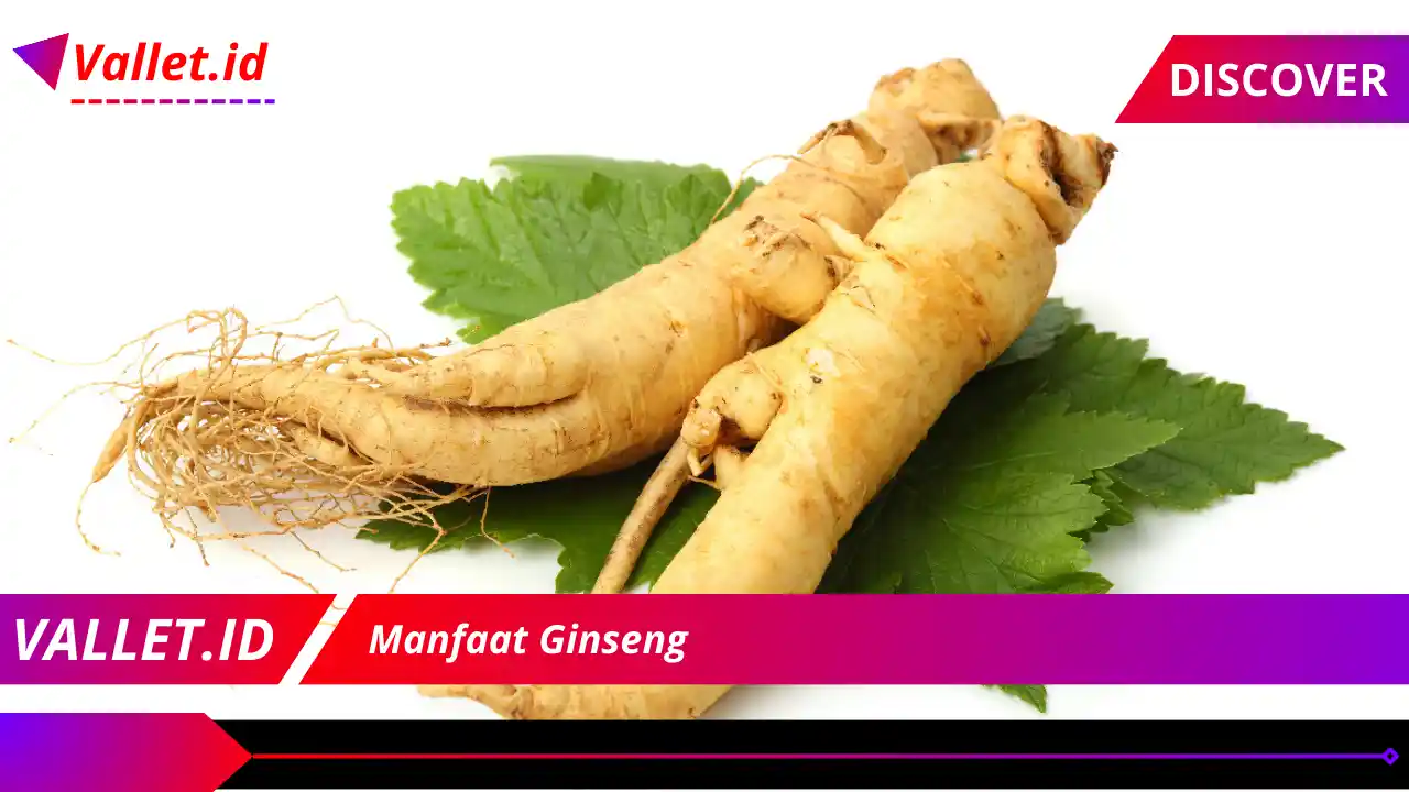 Manfaat Ginseng