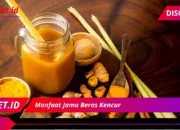 7 Manfaat Jamu Beras Kencur untuk Kesehatan