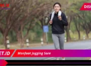 7 Rahasia Dibalik Manfaat Dahsyat Jogging Sore