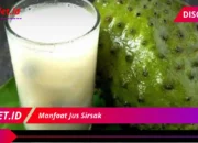 Manfaat Jus Sirsak