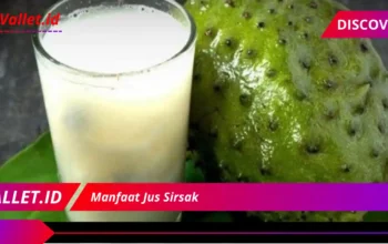 Manfaat Jus Sirsak