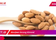 7 Manfaat Terbaik Kacang Almond