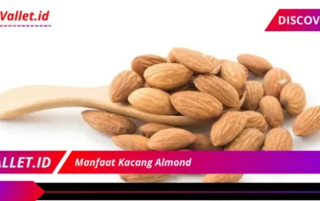 Manfaat Kacang Almond