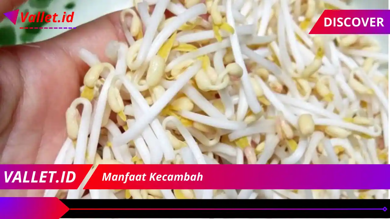 Manfaat Kecambah