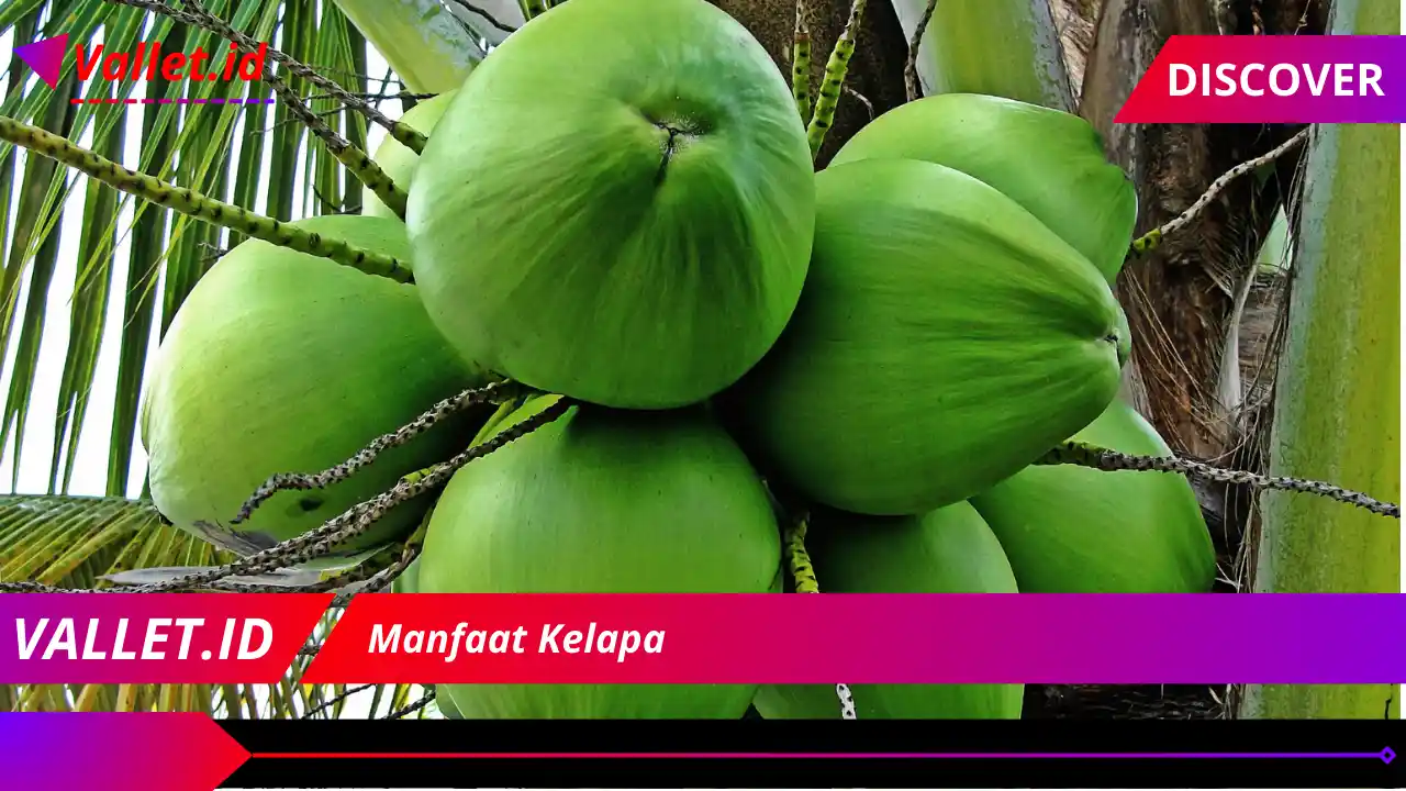 Manfaat Kelapa