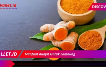 Manfaat Kunyit Untuk Lambung