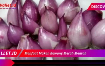 Rahasia 7 Manfaat Dahsyat Makan Bawang Merah Mentah