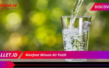 Manfaat Minum Air Putih