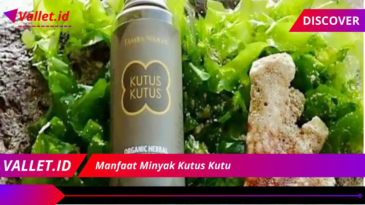 Manfaat Minyak Kutus Kutus