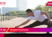 Pentingnya Pemanasan Sebelum Olahraga