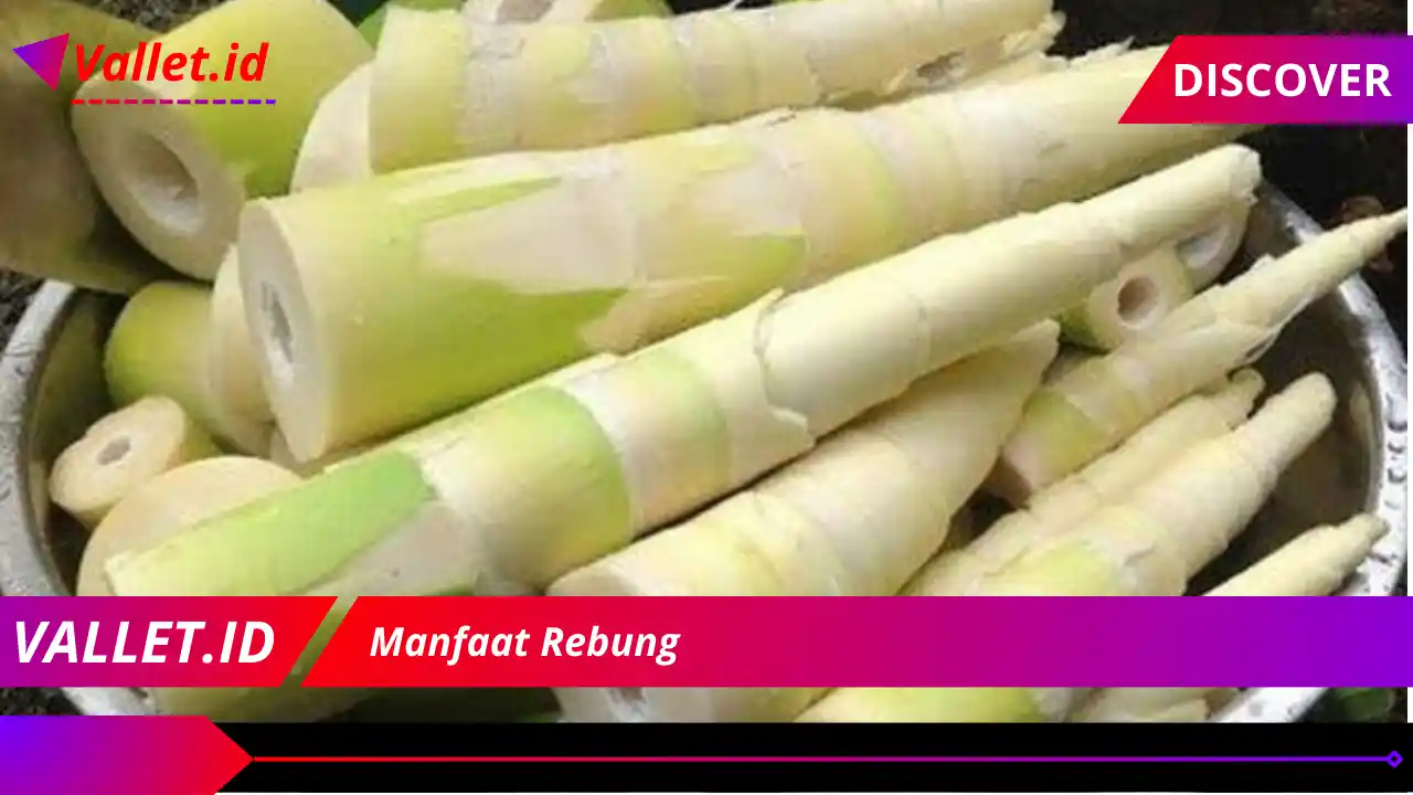 Manfaat Rebung