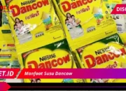 Manfaat Susu Dancow