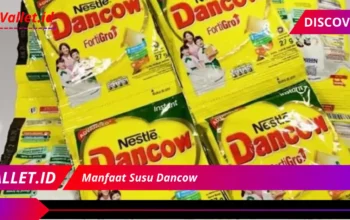 Manfaat Susu Dancow