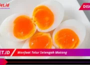 Ragam Manfaat Ajaib Telur Setengah Matang untuk Kesehatan