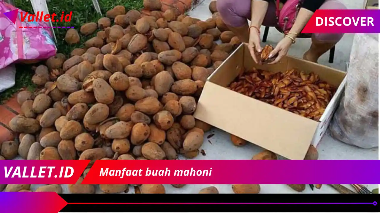 Manfaat buah mahoni