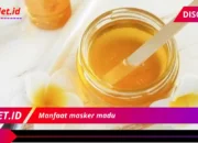 Manfaat masker madu