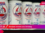 Khasiat Susu Beruang yang Wajib Kamu Tahu!