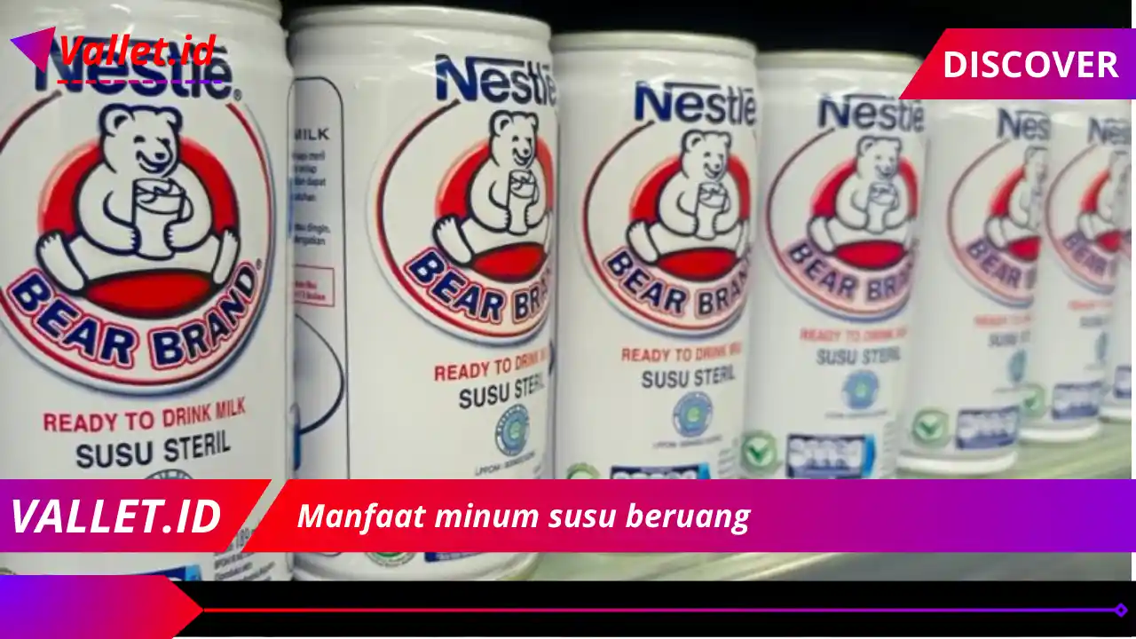 Manfaat minum susu beruang