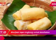 7 Khasiat Tape Singkong Yang Bikin Sehat