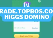 Begini Cara Login Trade Topbos dan Menjadi Agen Higgs Domino