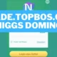 Begini Cara Login Trade Topbos dan Menjadi Agen Higgs Domino